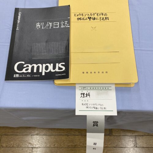 ヒョウモントカゲモドキの孵化と繁殖に挑戦